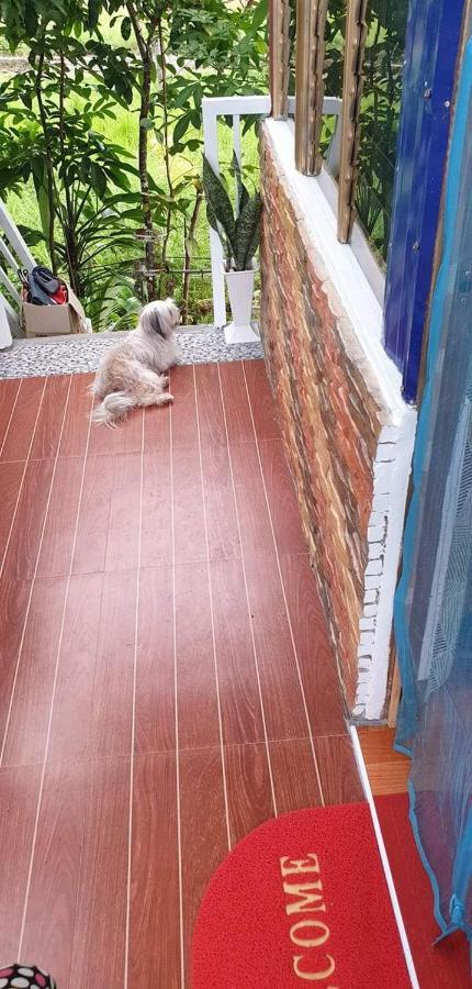 Cozy Tinyhouse Near Sm City Daet 外观 照片